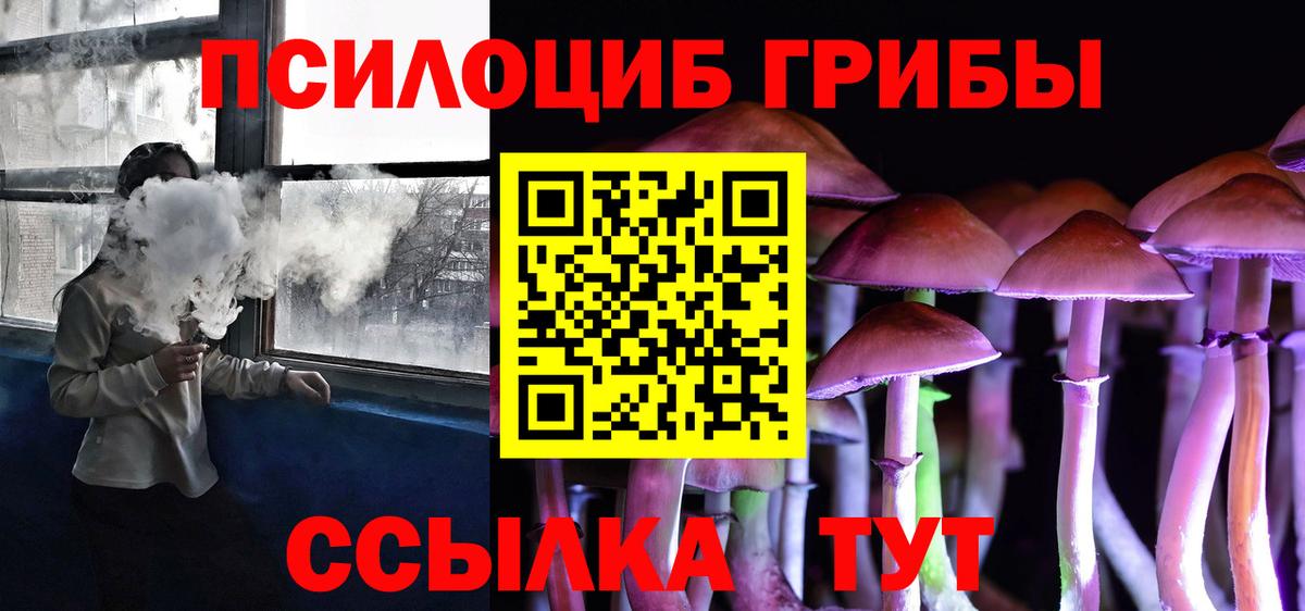 Калининград  Псилоцибиновые грибы Psilocybe  Вход с VPN 